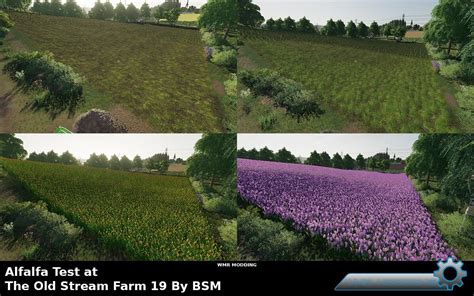 Still though, it looks way better than grass PS5 / <b>FS22</b> FarmCatJenkins Posts: 1962. . Fs22 alfalfa